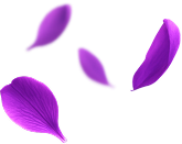 purple-leaf-small.png